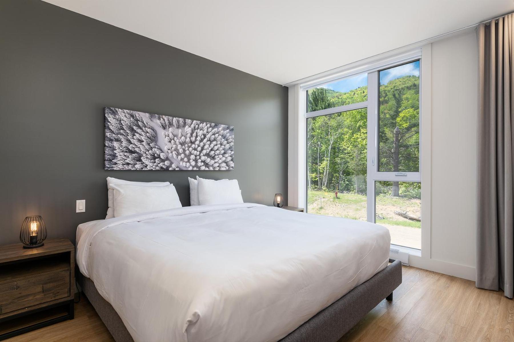 Les Appartements Du Massif De Charlevoix Petite-Riviere-Saint-Francois Rom bilde