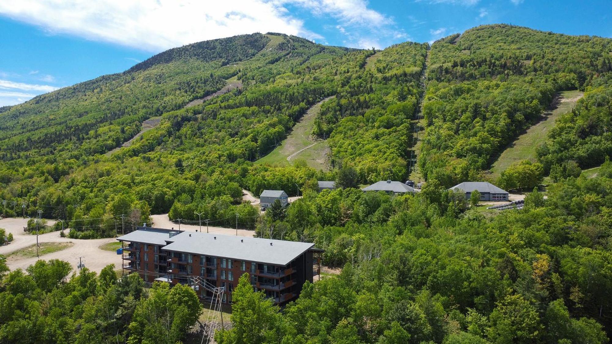 Les Appartements Du Massif De Charlevoix Petite-Riviere-Saint-Francois Eksteriør bilde