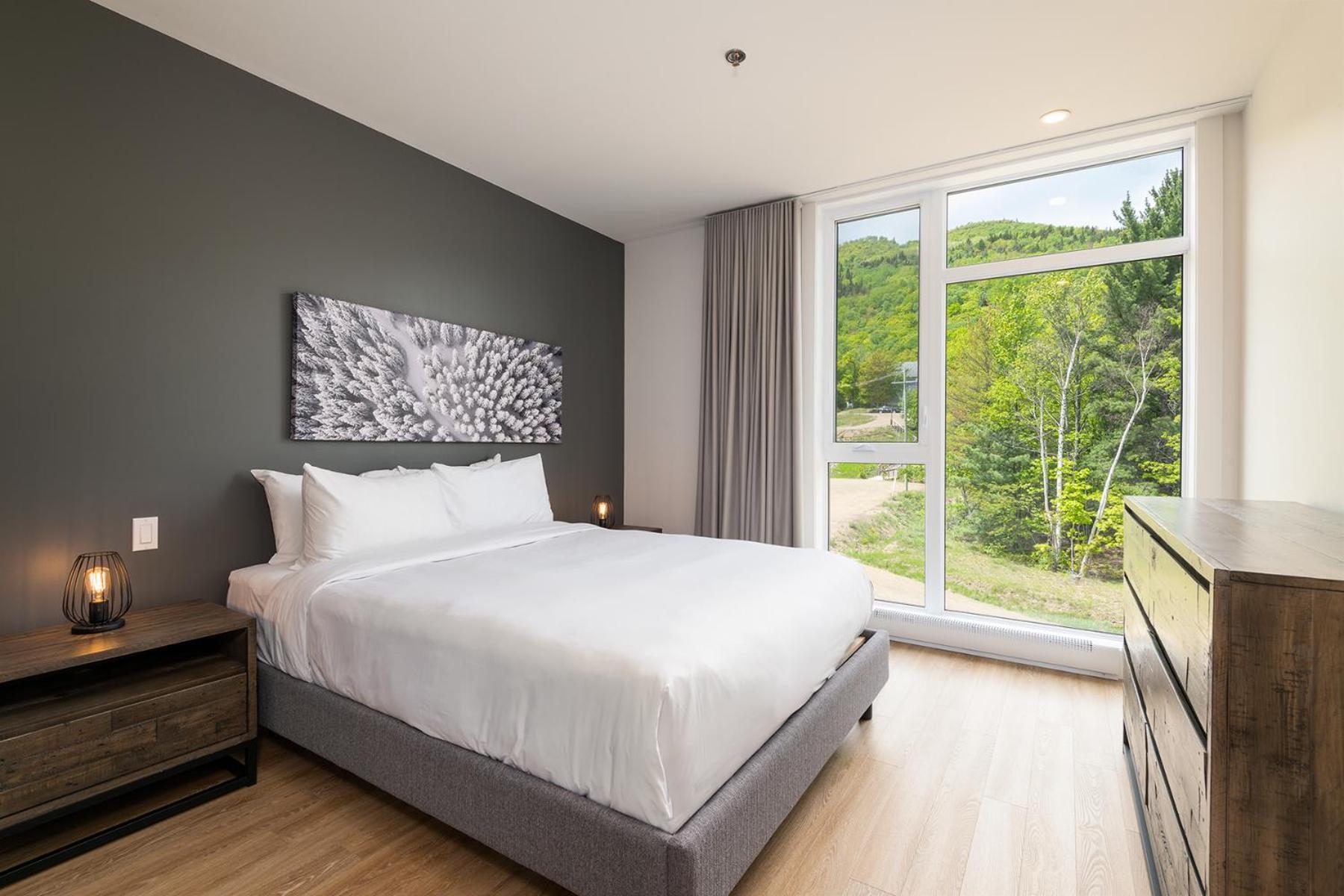 Les Appartements Du Massif De Charlevoix Petite-Riviere-Saint-Francois Rom bilde